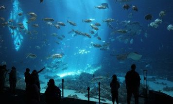 Aquarium Biarritz