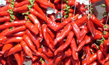 Espelette chili festival