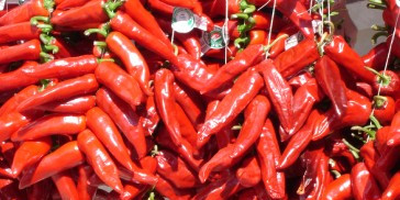 Espelette chili festival