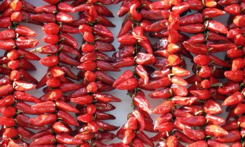 Discover Basque Country cuisine