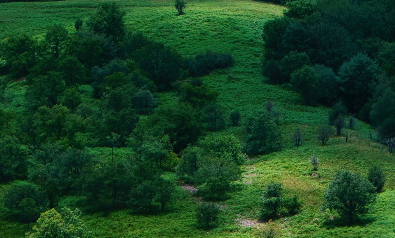 La pelote basque