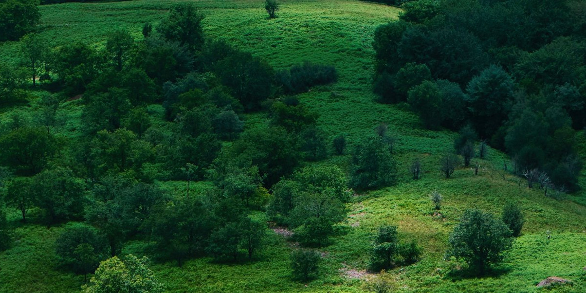 La pelote basque