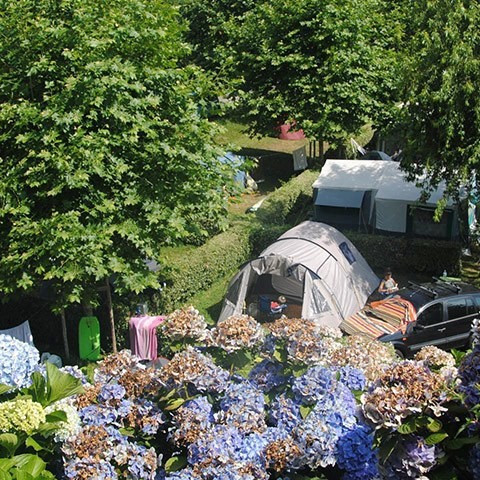 Camping Erreka Hébergement Emplacements