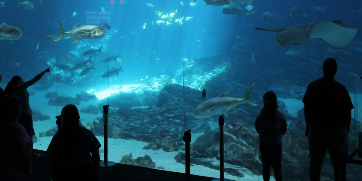 Zee museum Biarritz